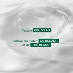 Klorane Crème D'eau De Bleuet - Contenance : 30 Ml -Jequiti Shop 6b6c6f72616e652d6372656d652d642d6561752d64652d626c657565742d3200b258aa