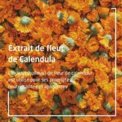 Weleda Calendula Huile De Massage Bio - Contenance : 100 Ml -Jequiti Shop 77656c6564612d63616c656e64756c612d6875696c652d64652d6d6173736167652d62696f2d312dc555a2