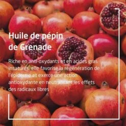 Weleda Grenade Lait Corps Régénérant Bio - Contenance : 200 Ml 9 Weleda Grenade Lait Corps Régénérant Bio - Contenance : 200 Ml -Jequiti Shop 77656c6564612d6772656e6164652d6c6169742d636f7270732d726567656e6572616e742d62696f2d324d816115