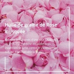 Weleda Huile Harmonisante Rose Musquée Bio - Contenance : 100 Ml -Jequiti Shop 77656c6564612d6875696c652d6861726d6f6e6973616e74652d726f73652d6d7573717565652d62696f2d327d000375