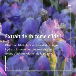 Weleda Iris Fluide Hydratant Réconfortant Bio - Contenance : 30 Ml 9 Weleda Iris Fluide Hydratant Réconfortant Bio - Contenance : 30 Ml -Jequiti Shop 77656c6564612d697269732d666c756964652d687964726174616e742d7265636f6e666f7274616e742d62696f2d310ef90cd2