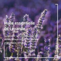 Weleda Lavande Huile Relaxante Bio - Contenance : 100 Ml -Jequiti Shop 77656c6564612d6c6176616e64652d6875696c652d72656c6178616e74652d62696f2d3136b38b38