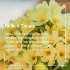 Weleda Onagre Huile Revitalisante Bio - Contenance : 100 Ml -Jequiti Shop 77656c6564612d6f6e616772652d6875696c652d7265766974616c6973616e74652d62696f2d3154c6df7e